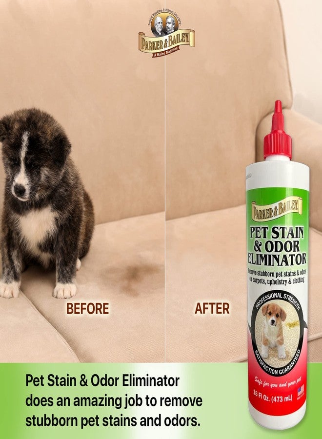 Parker & Bailey Parker Bailey Pet Stain & Odor Eliminator 16oz bottle - Image 3